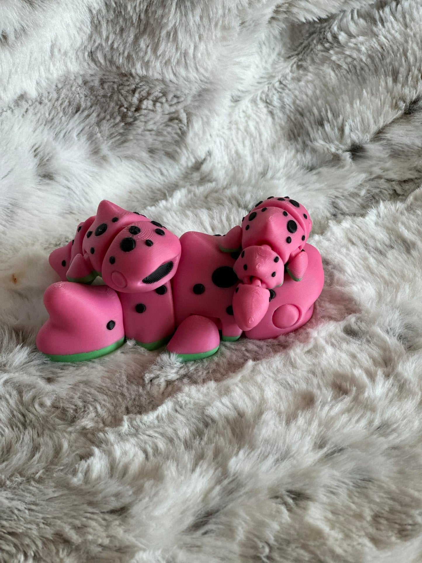 Watermelon Whale Shark