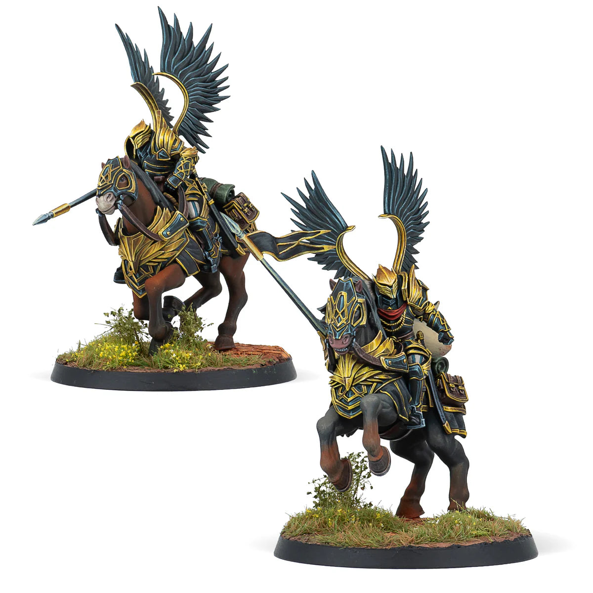 Hegemony Black Angels